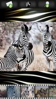 Zebra Wallpapers screenshot 1