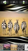 Zebra Wallpapers screenshot 2