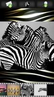 Zebra Wallpapers screenshot 3
