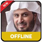 Saad Al Ghamidi Quran Offline icône