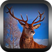 Safari Hunter Sniper APK
