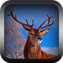 Safari Hunter Sniper APK