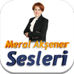 Meral Akşener Sesleri