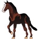Sanal Hipodrom - At Yarışı APK