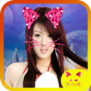 Cat Face photo Filter Effect APK