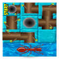 Ant Run Maze
