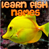Learn Fish Names ícone