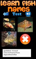 Learn Fish Names Ekran Görüntüsü 3