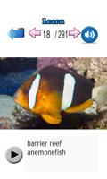 Learn Fish Names 스크린샷 1