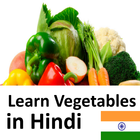 Learn Vegetables in Hindi icône