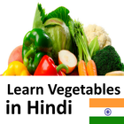 Learn Vegetables in Hindi biểu tượng