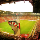 FC Augsburg Wallpapers 4 Fans APK