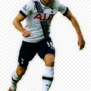 Tottenham Wallpapers 4 Football Fans APK