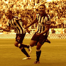 Newcastle United Wallpapers 4 Fans APK