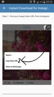 Instant Download for Instagram Cartaz
