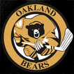 Oakland Bears Hockey