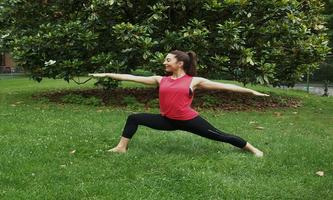 Yoga for Weight Gain Videos in Hindi imagem de tela 3