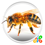 Bee icon