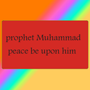 Follow The Prophet Muhammad APK