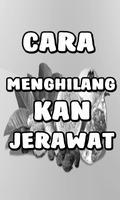 Menghilangkan Jerawat Dengan Bahan Alami โปสเตอร์