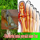 Obat Asam urat secara herbal أيقونة