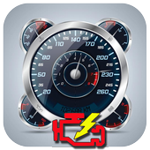 OBD Auto Doctor Pro Zeichen