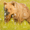 Bear Nice Lock Screen Pro APK