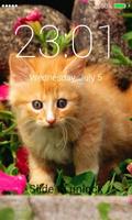 Orange Cats Lock Screen Affiche