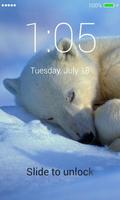 Polar Bear Lock Screen Affiche