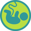 출산의 신(임신,산모,진통주기,임산부,임신주수계산기)