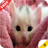 Cats - Tiles Puzzle