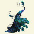 IFFI2015 Smartphone App.