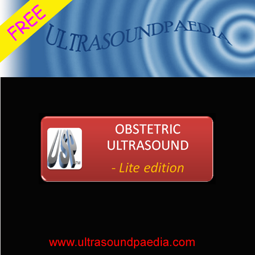 Obstetric Ultrasound-Lite
