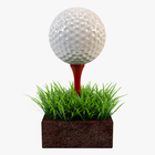 Mini Golf Club 2 Zeichen