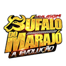 O Búfalo do Marajó APK