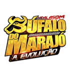 O Búfalo do Marajó 图标