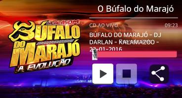 O Búfalo do Marajó 截图 1