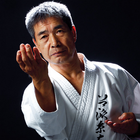 TUVB KARATE icon