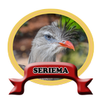 Burung Seriema brasil HD 100% Offline آئیکن