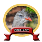 Burung Seriema brasil HD 100% Offline icon