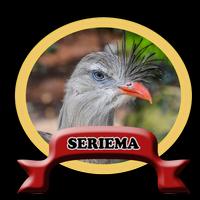 پوستر Burung Seriema brasil HD 100% Offline