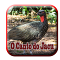 jacu