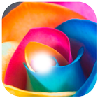 Colorful Flower Photo Frame icon