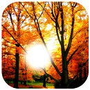 APK Autumn Photo Frame