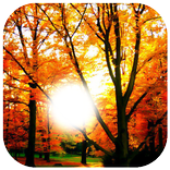 Autumn Photo Frame