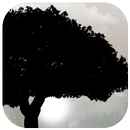 Black And White Photo Frame APK