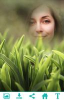 Green Grass Photo Frame-poster