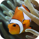Ocean Fish Aquarium APK