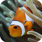 Ocean Fish Aquarium ikona
