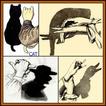 How To Make Hand Shadow Puppets DIY Ideas Designs